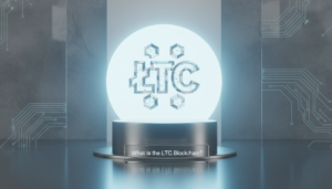 What Is the LTC Blockchain? - ltc blockchain | Digital Blockchains