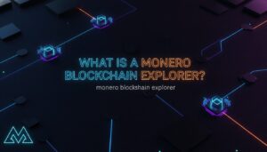 Illustration of What Is a Monero Blockchain Explorer?