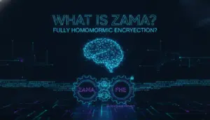 Illustration of What Is Zama and Fully Homomorphic Encryption?